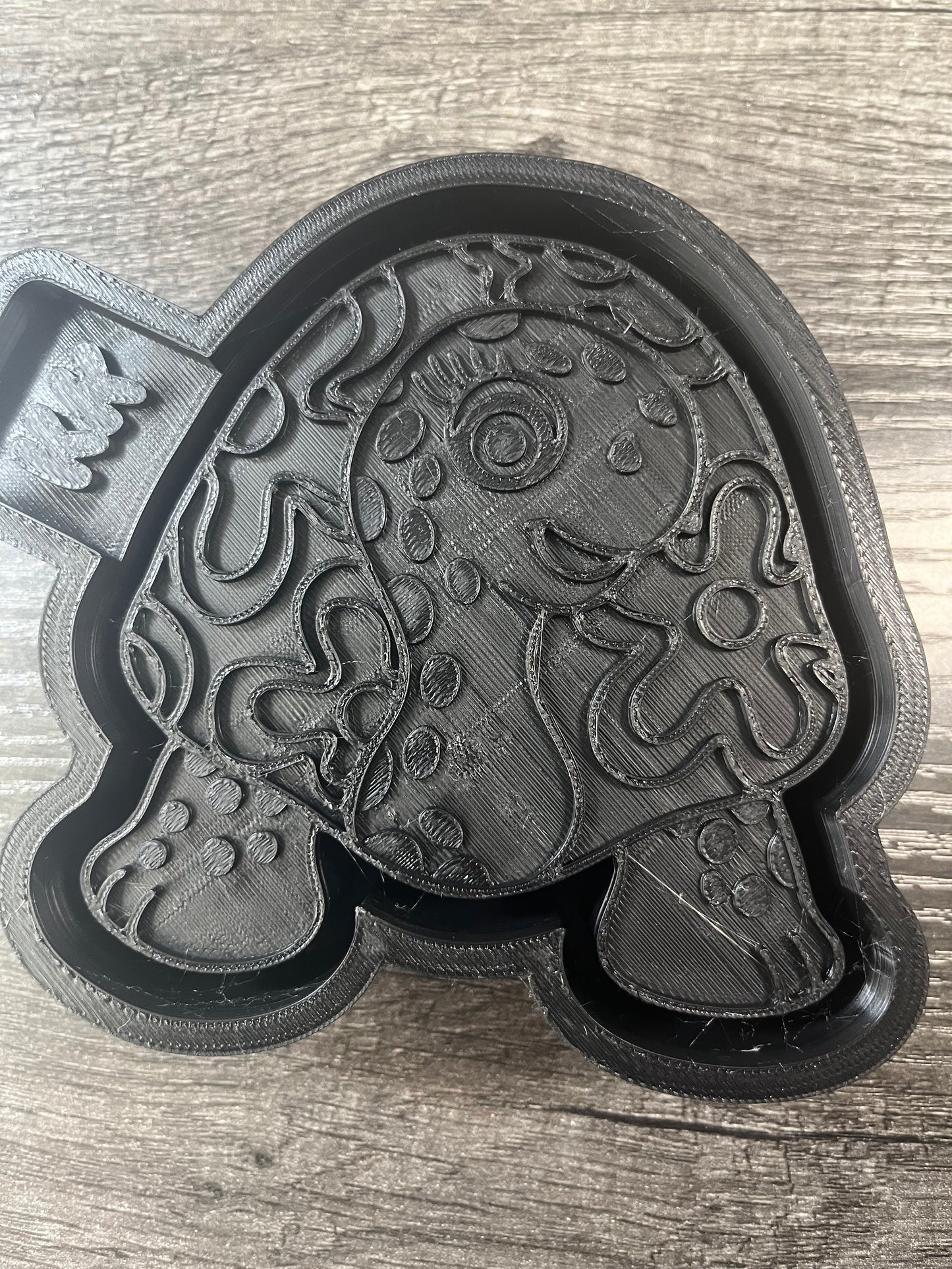 Retro Turtle Mold