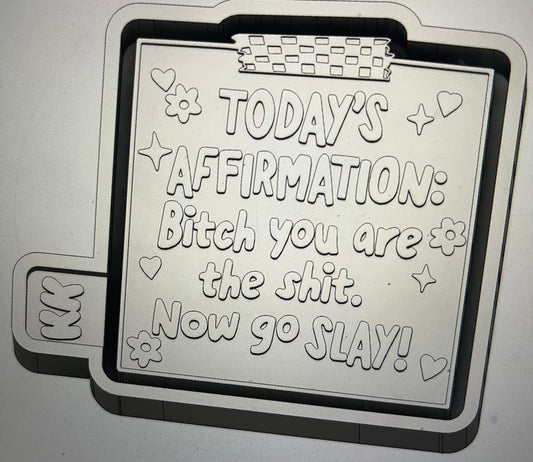 Today’s Affirmation: Bitch You Are The Shit. Now Go Slay! Mold
