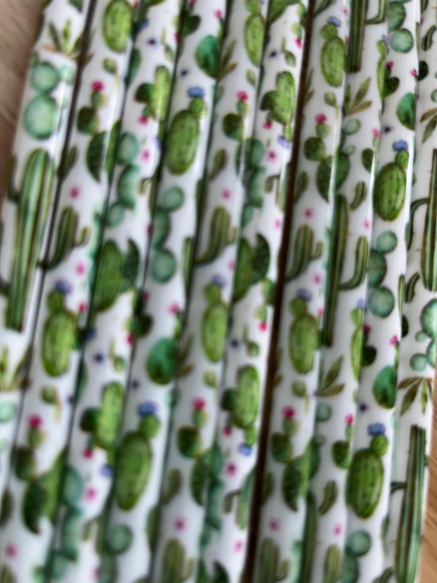 Cactus Straws