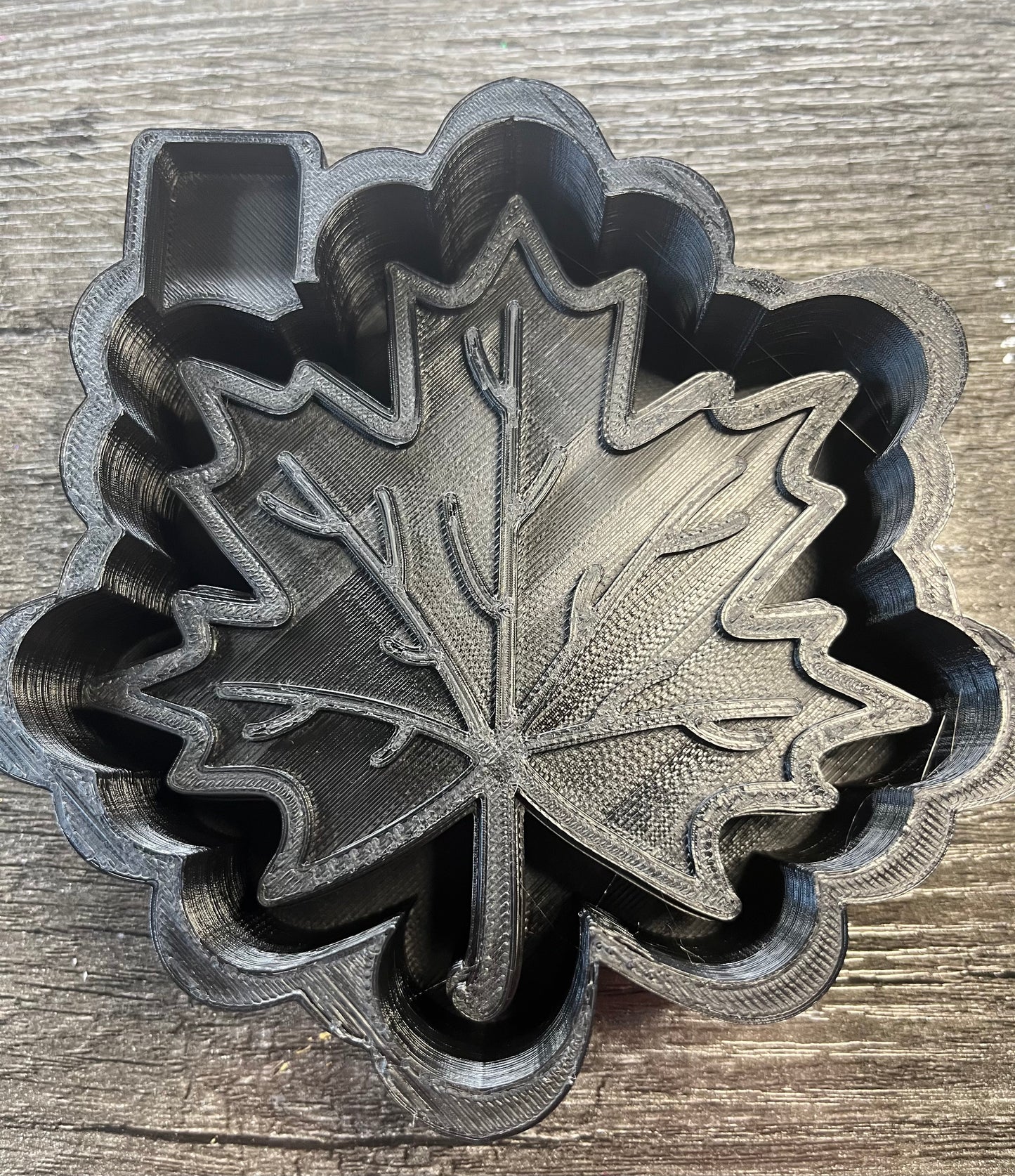 Maple Leaf Mold