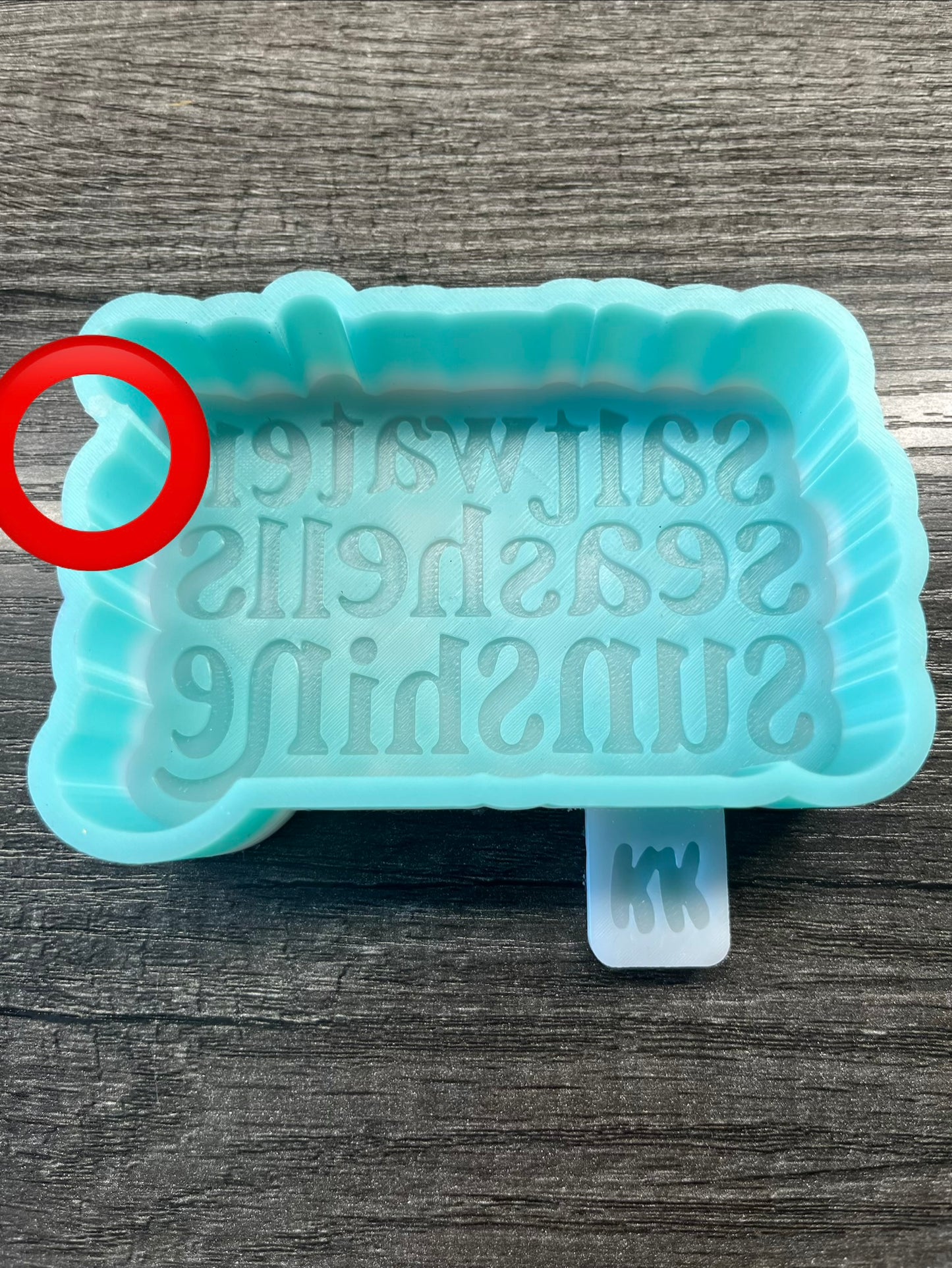 Saltwater, Seashells, Sunshine Mold B-Grade