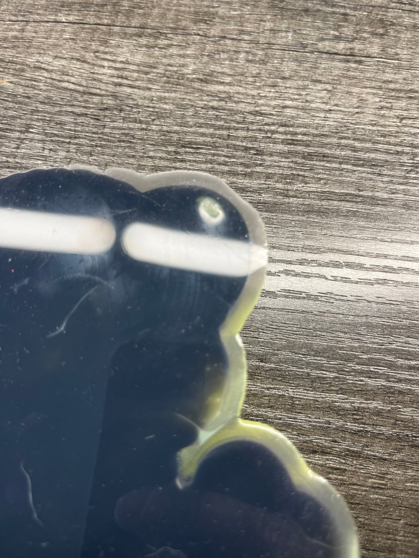Cheetah Mold B-Grade