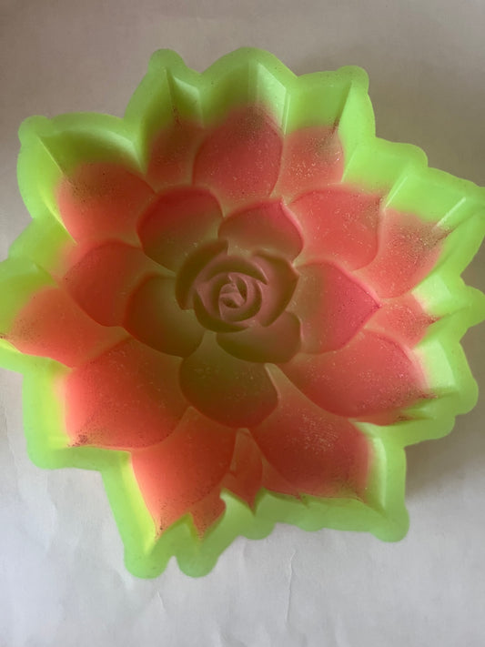 3d Succulent Destash