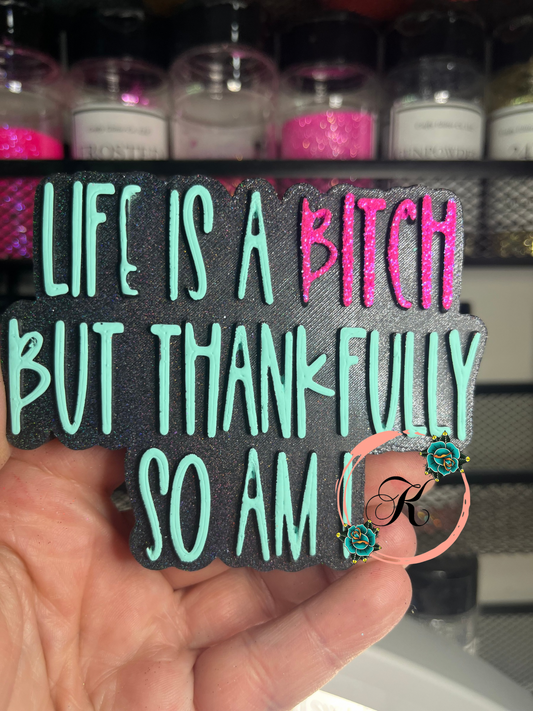 Life Is A Bitch But Luckily So Am I Freshie