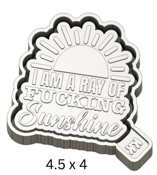 I Am A Ray Of Fucking Sunshine Mold